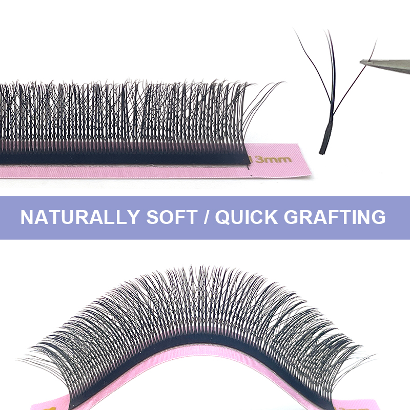 New Fairy 3D Thick W Shape Eas - Eyelash Extension Y Shape 评论和价格